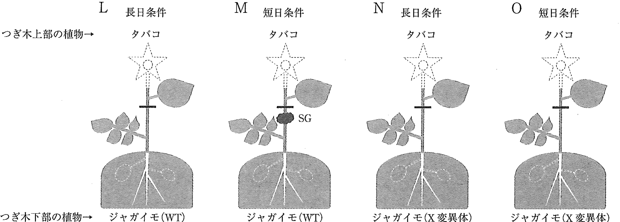 3f3