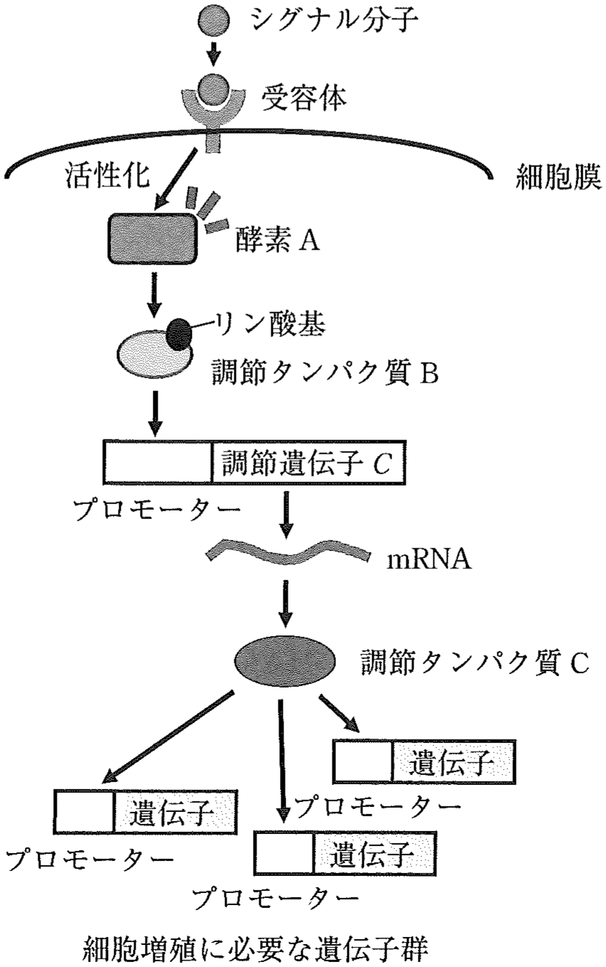 図1