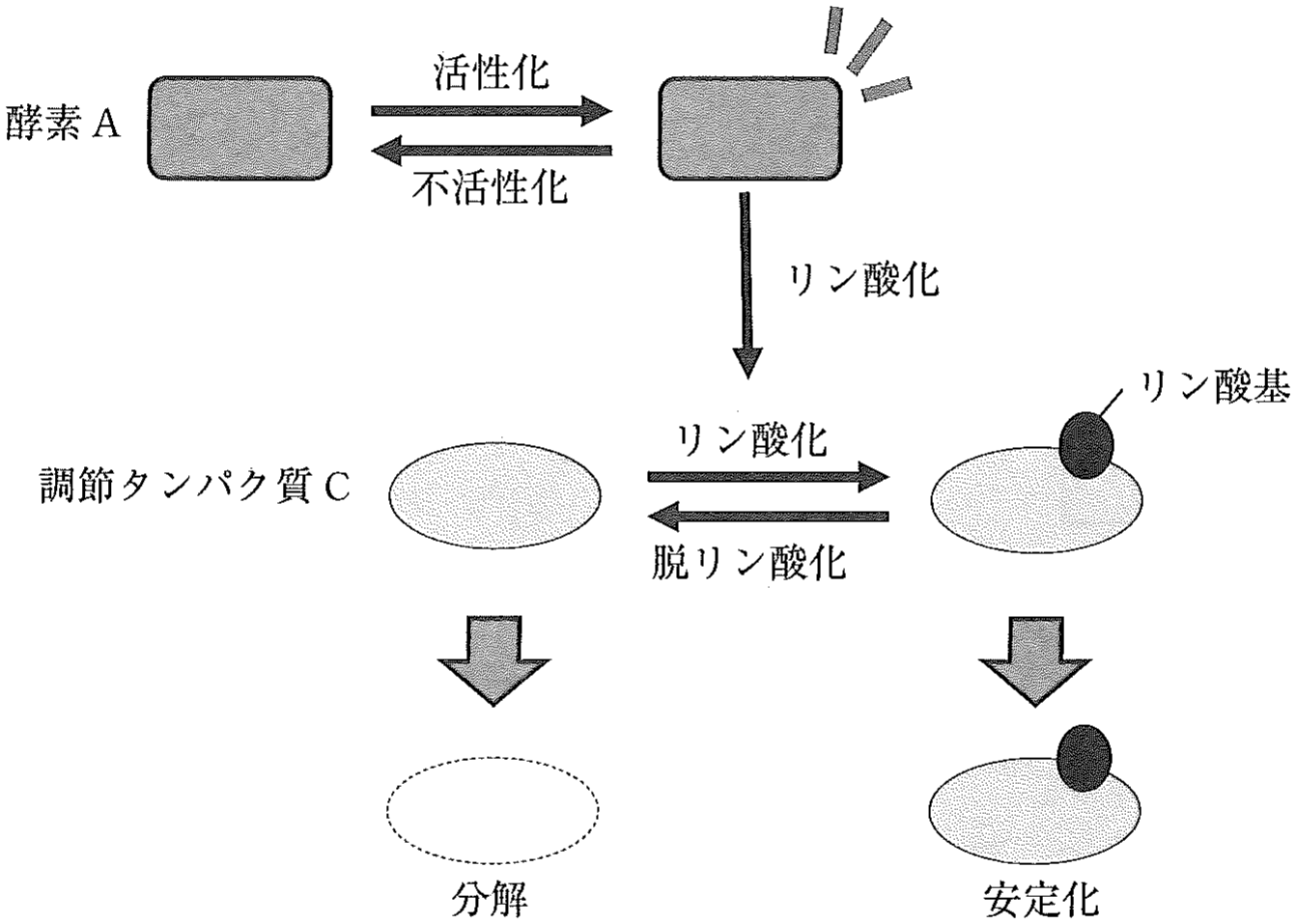 図4