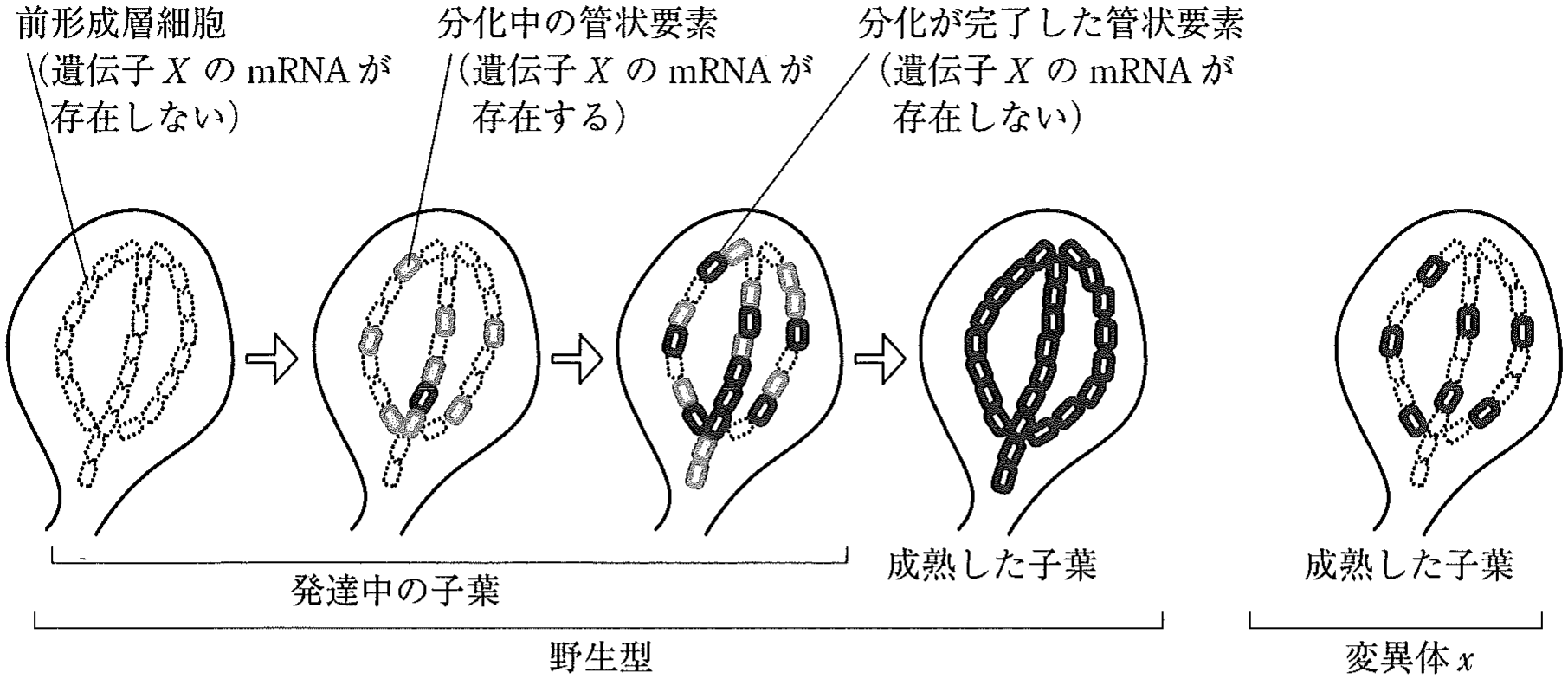 図4