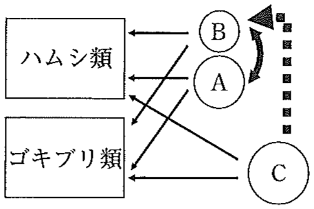 図5