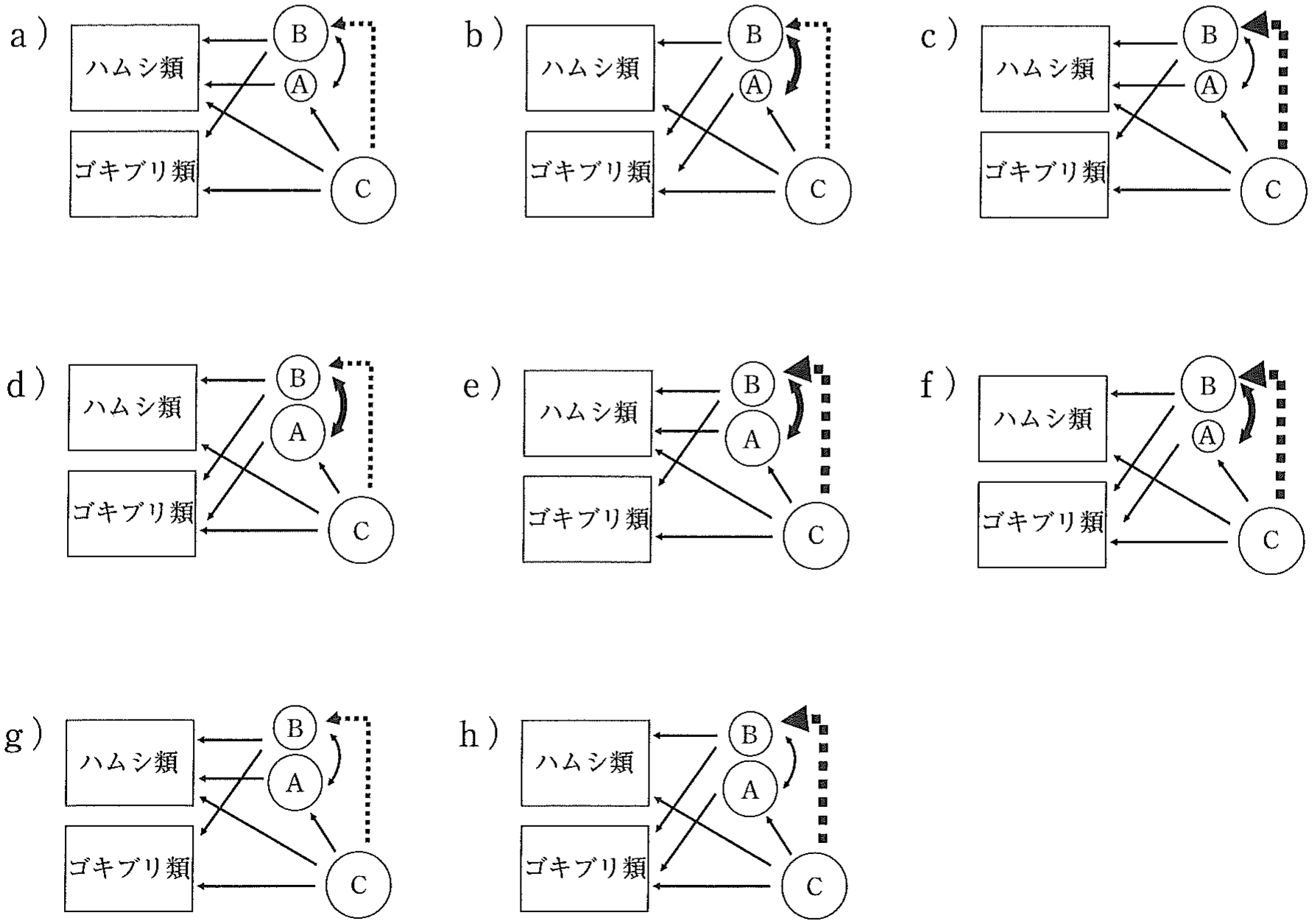 選択肢