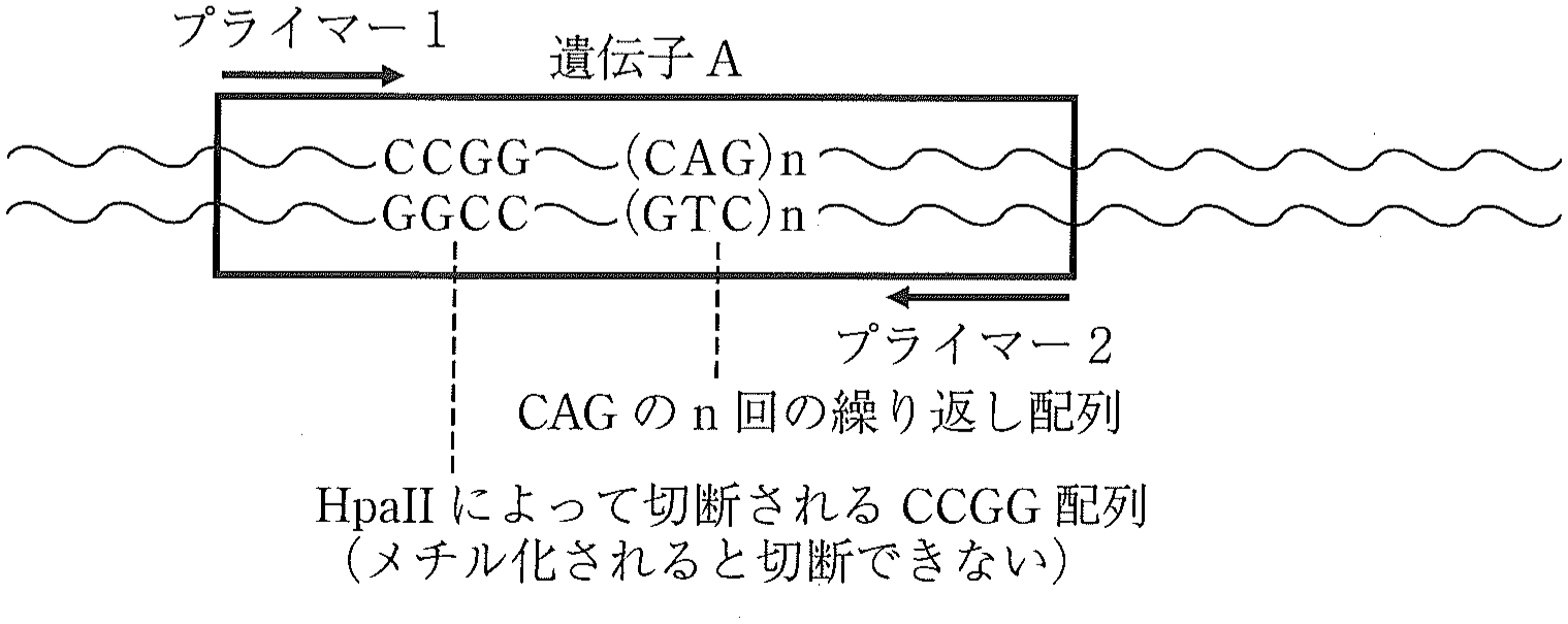 図1