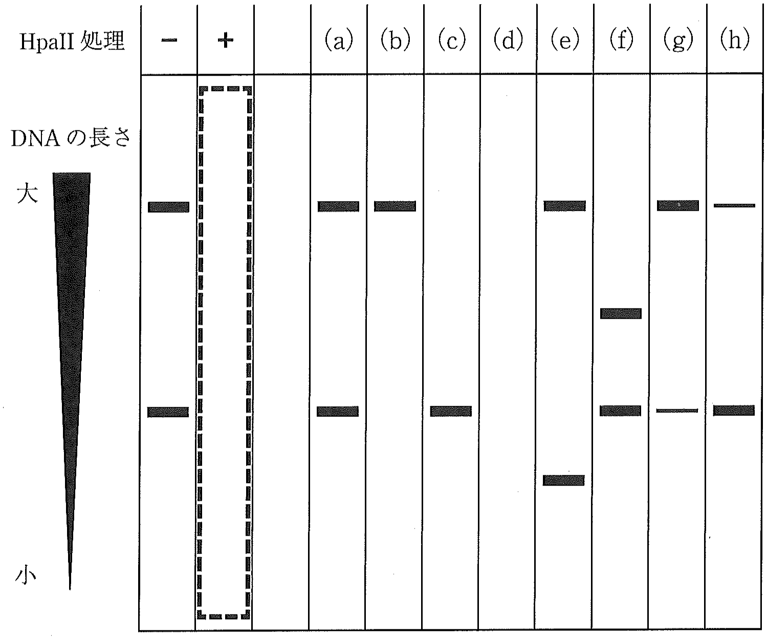 図2