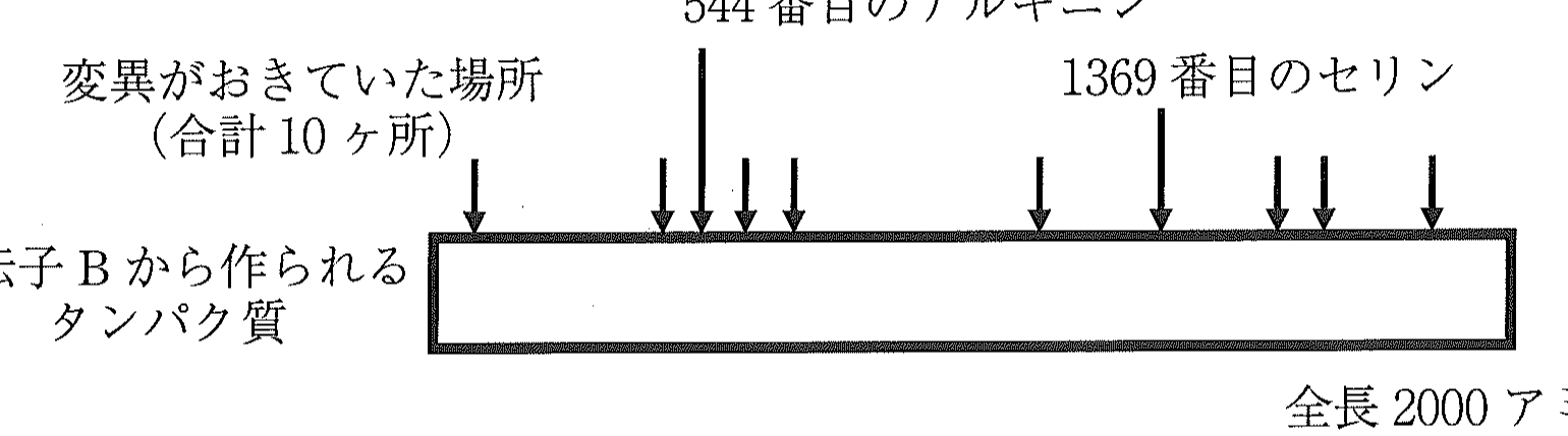 図4