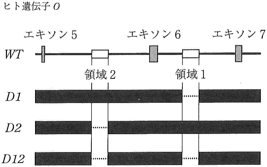 図3