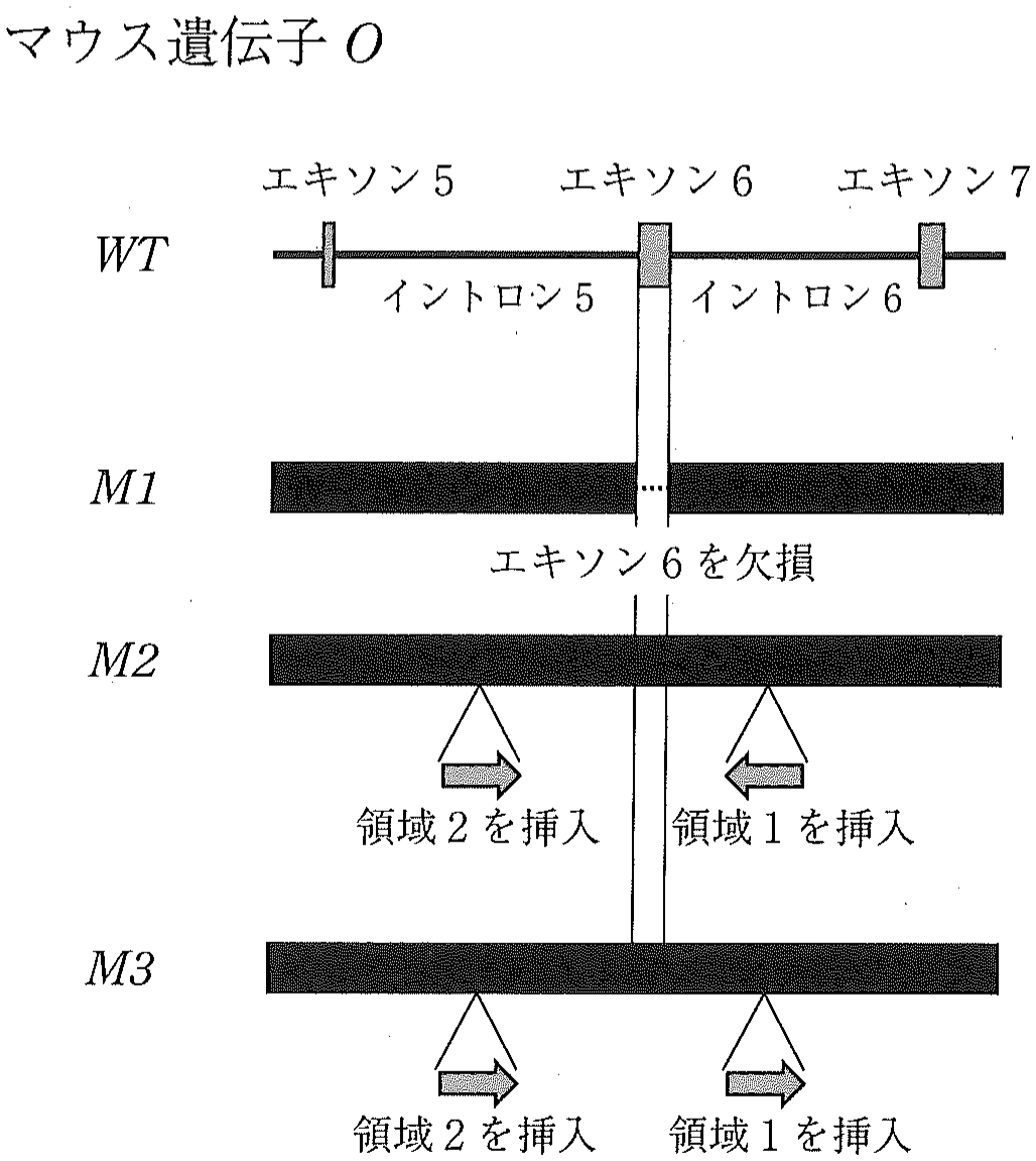 図4