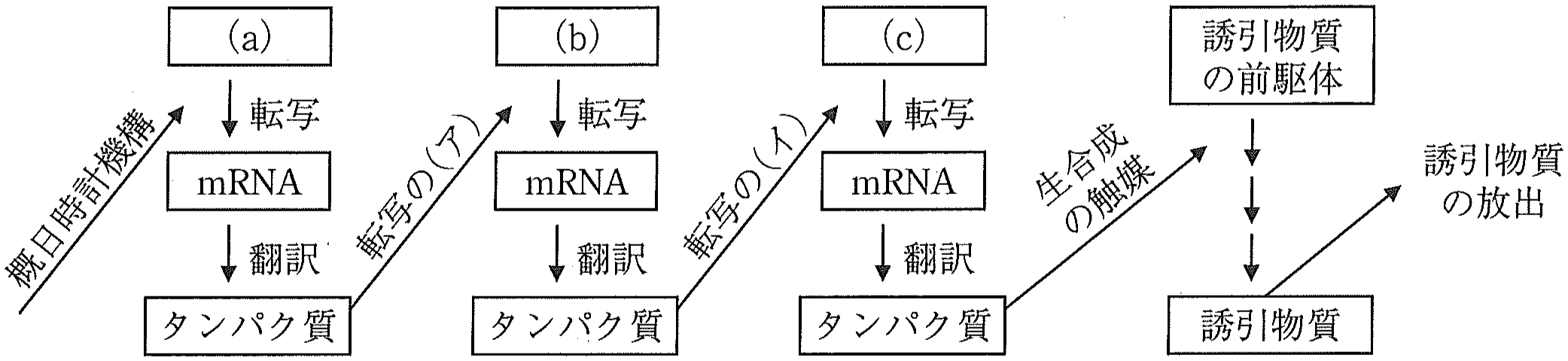 図4