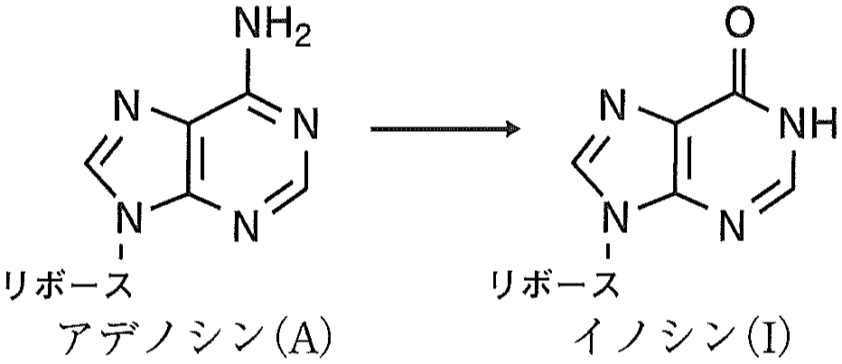 図1