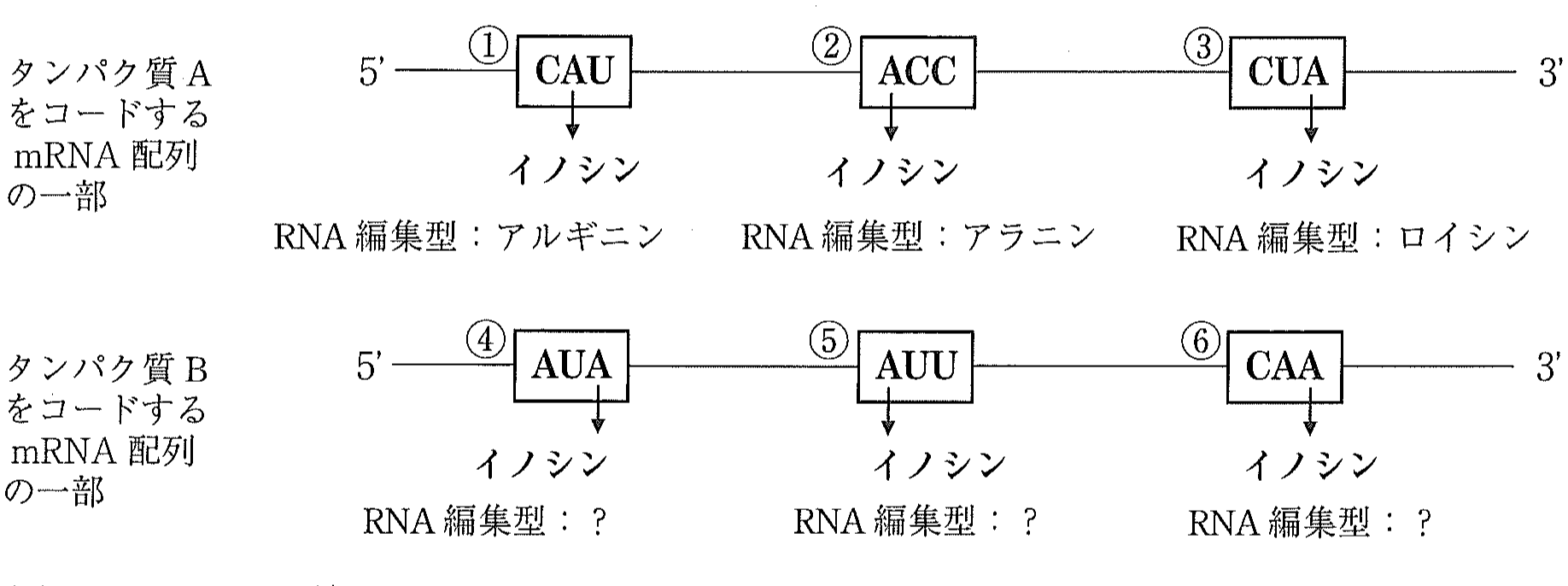 図2