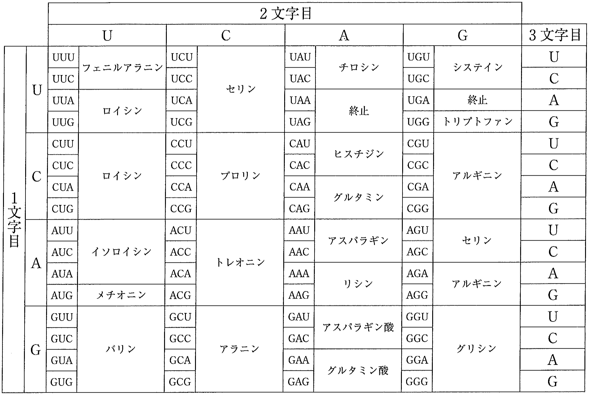 表1