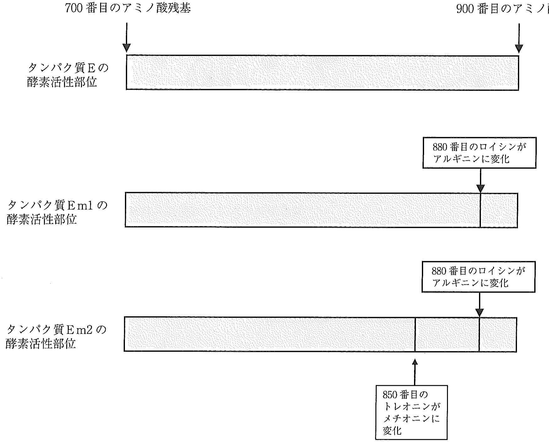 図2