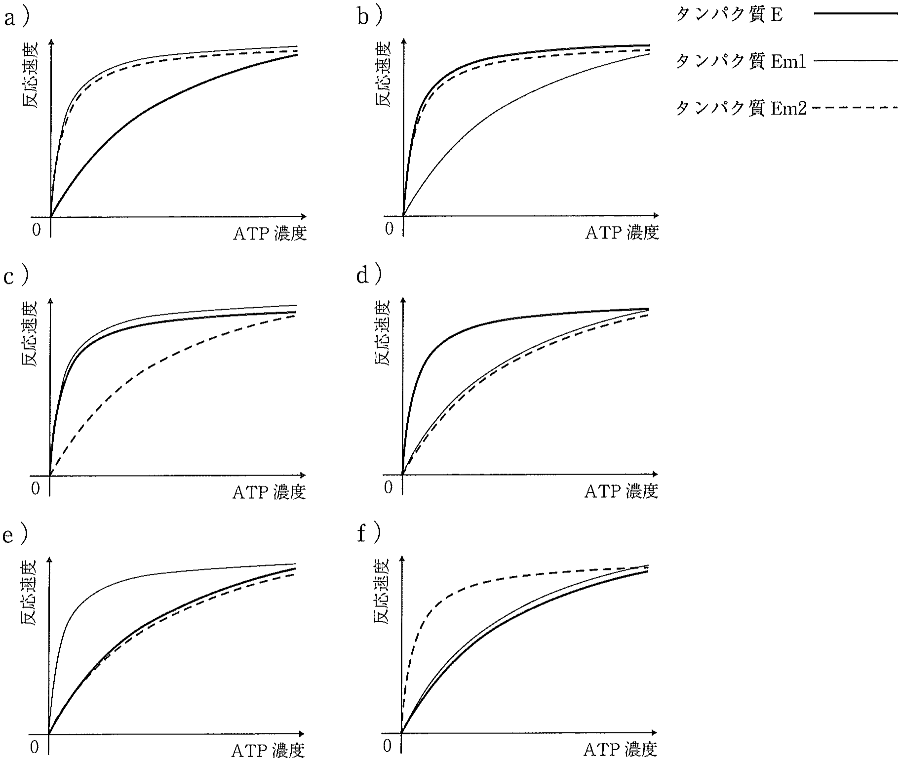 選択肢