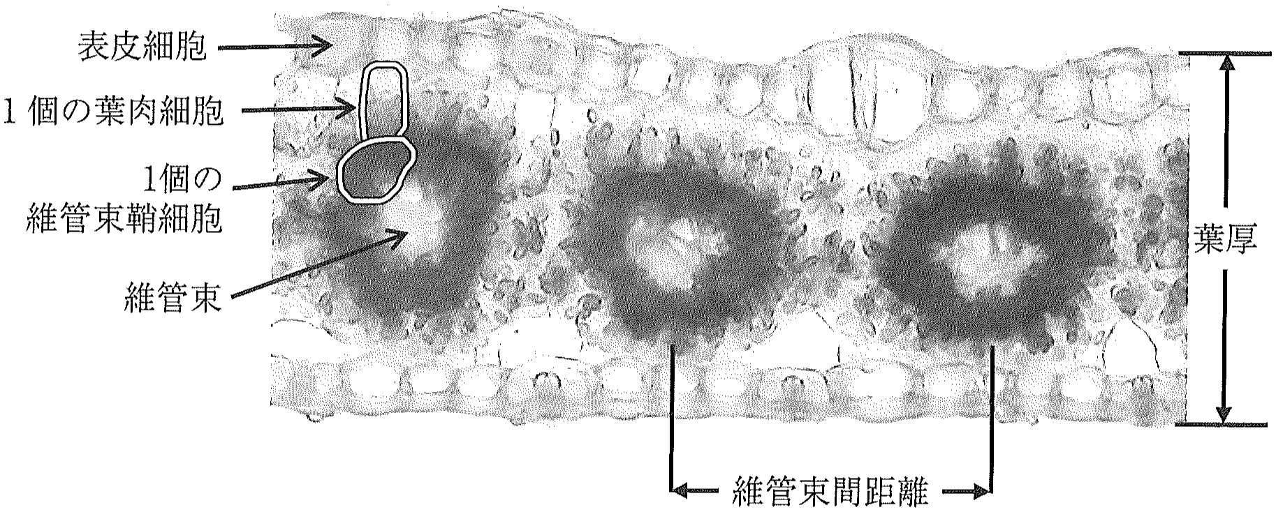 図3