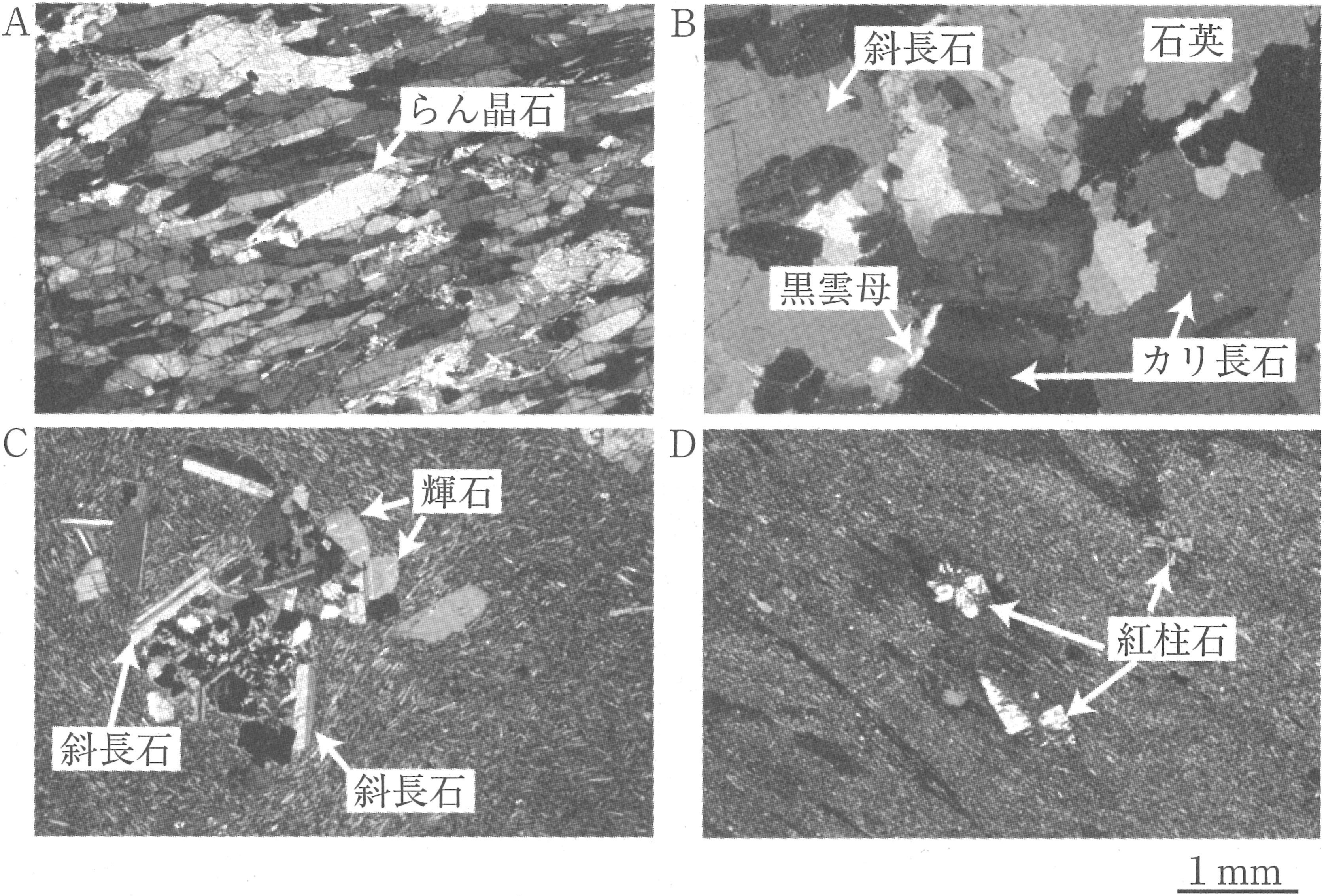 図3　沈み込み帯に分布する岩石の薄片の偏光顕微鏡写真（直交ニコル）