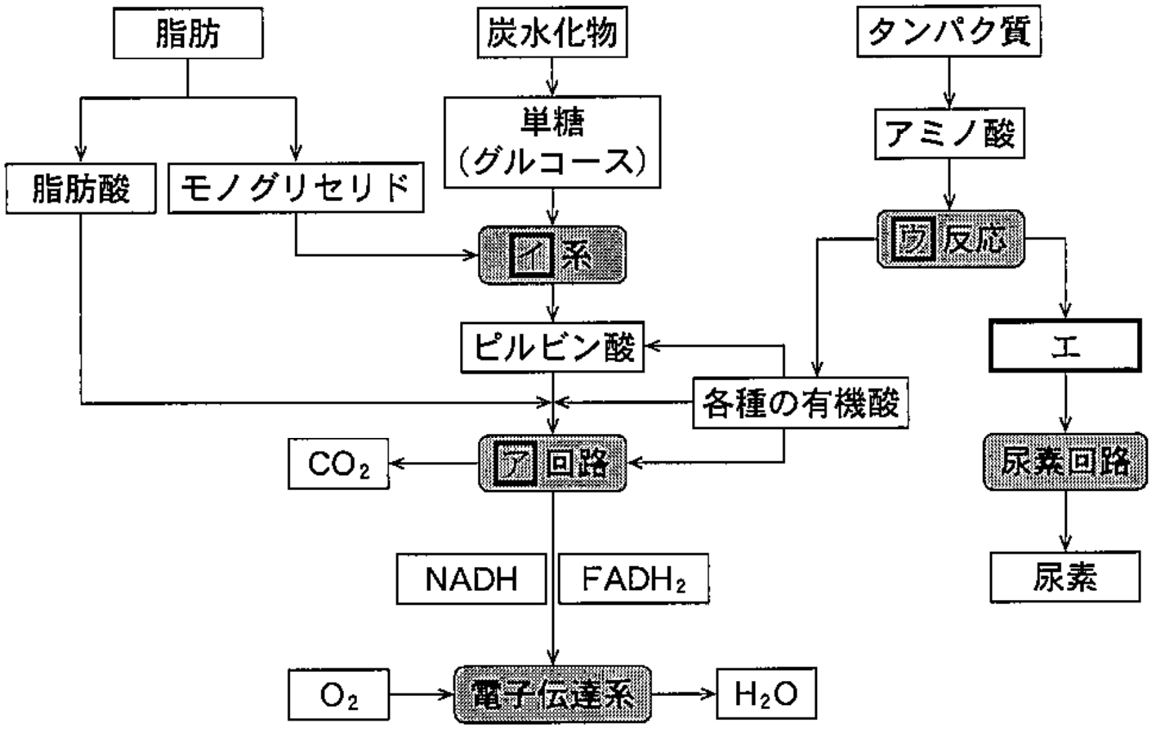 図1