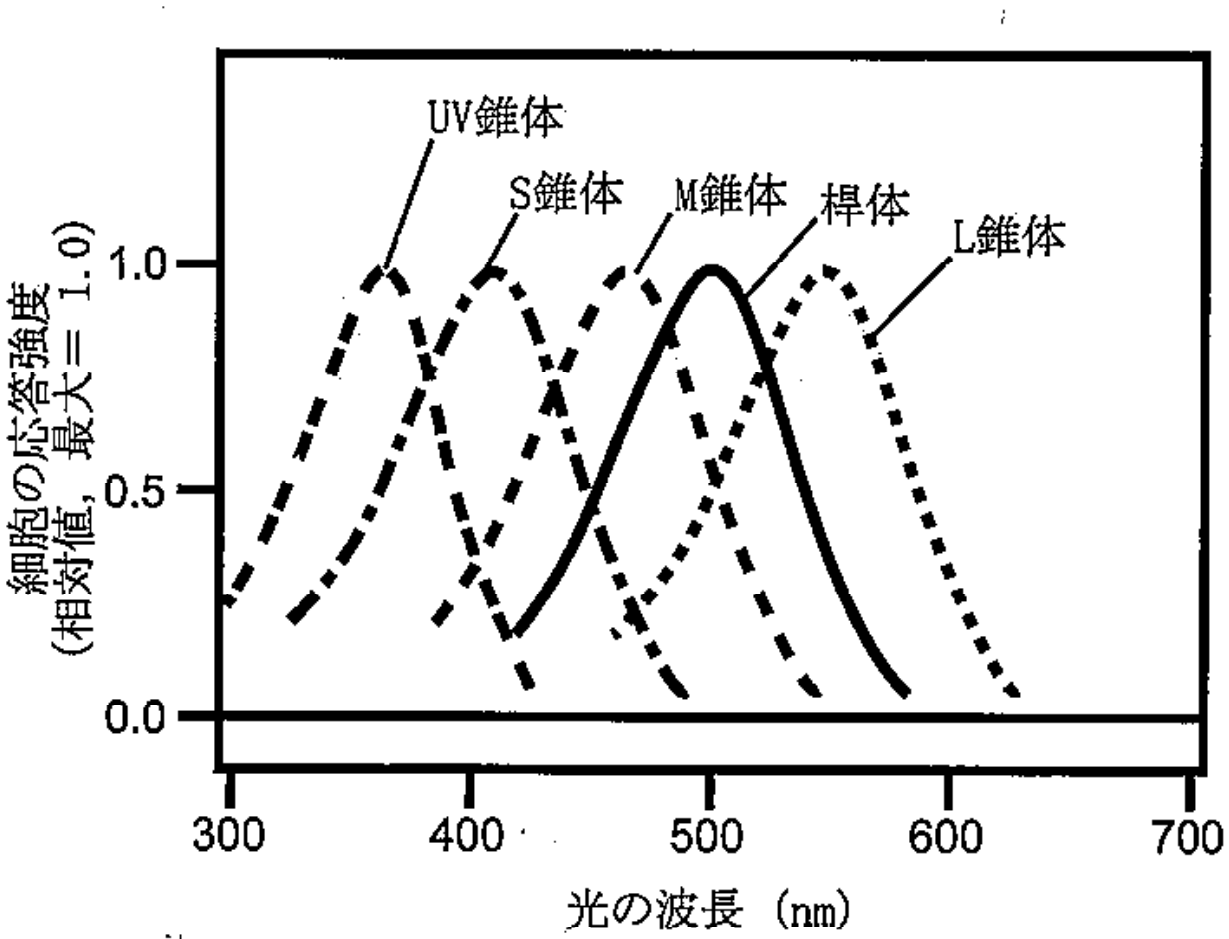 図1