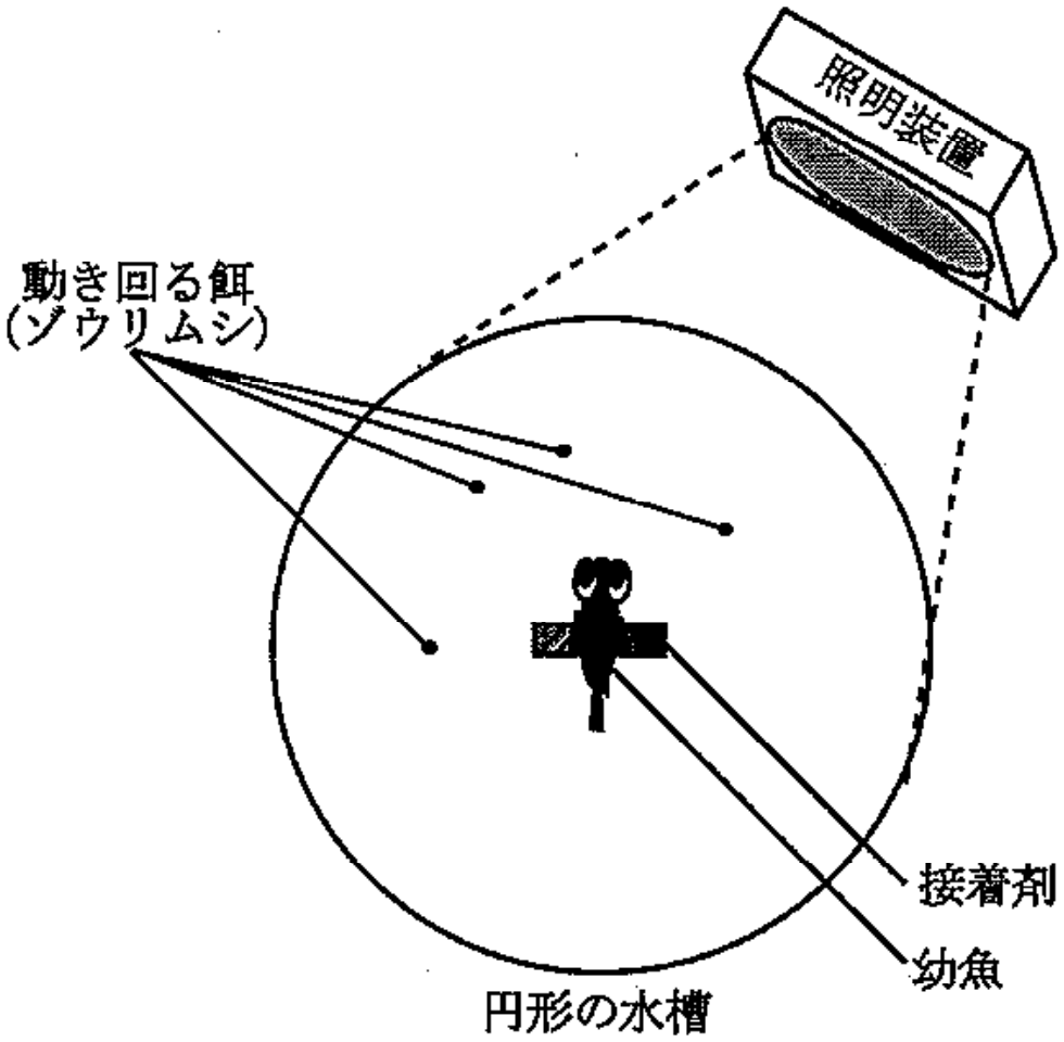 図3