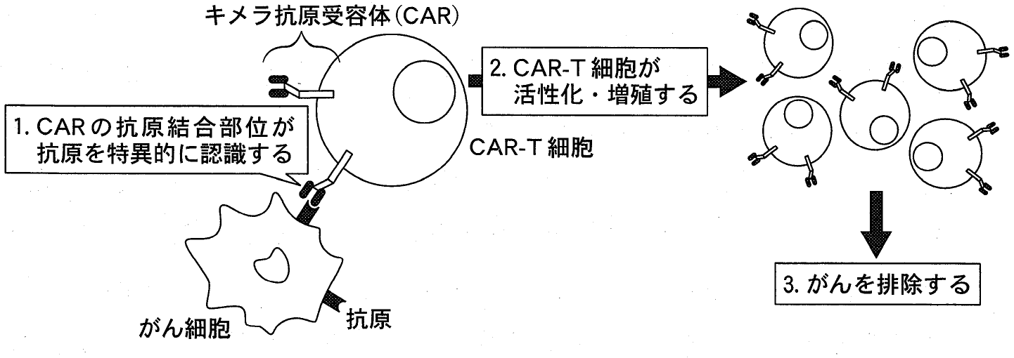 図1
