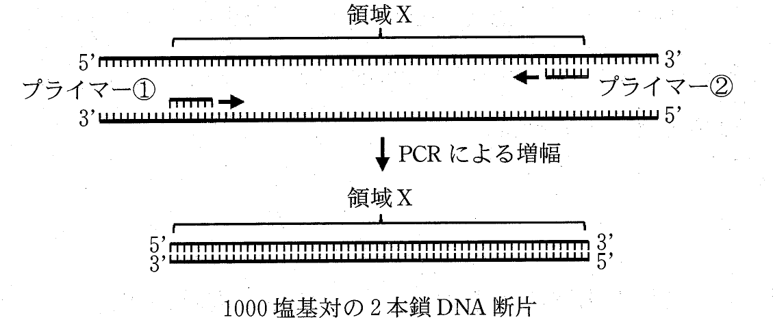 図1