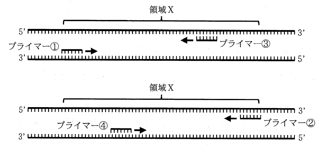 図3