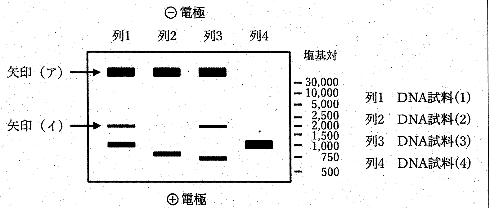 図4（訂正後の図）