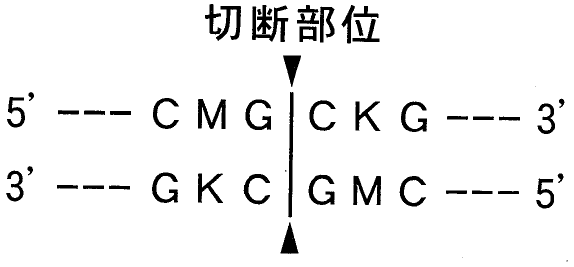 図2