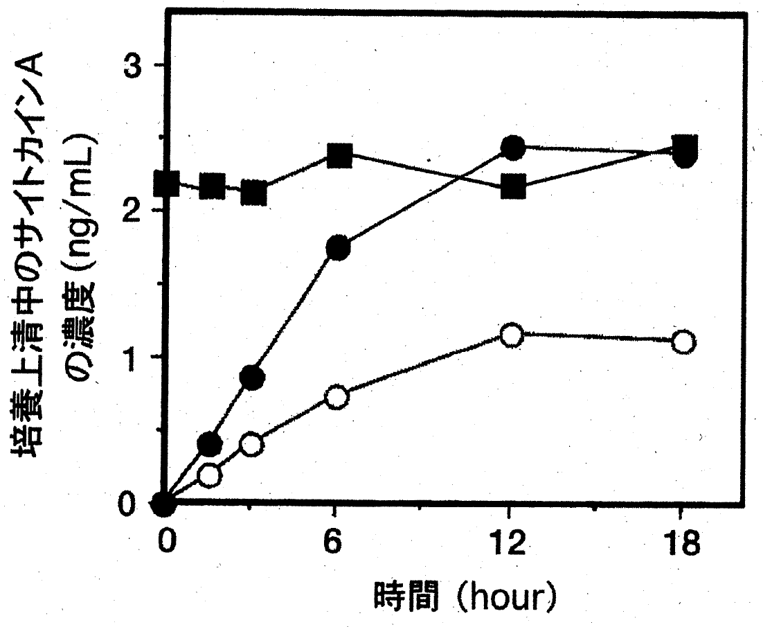 図3（訂正後の図）