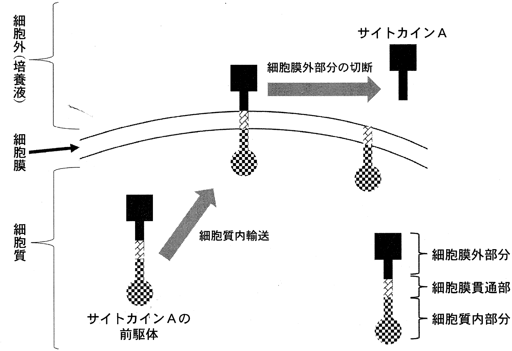 図4