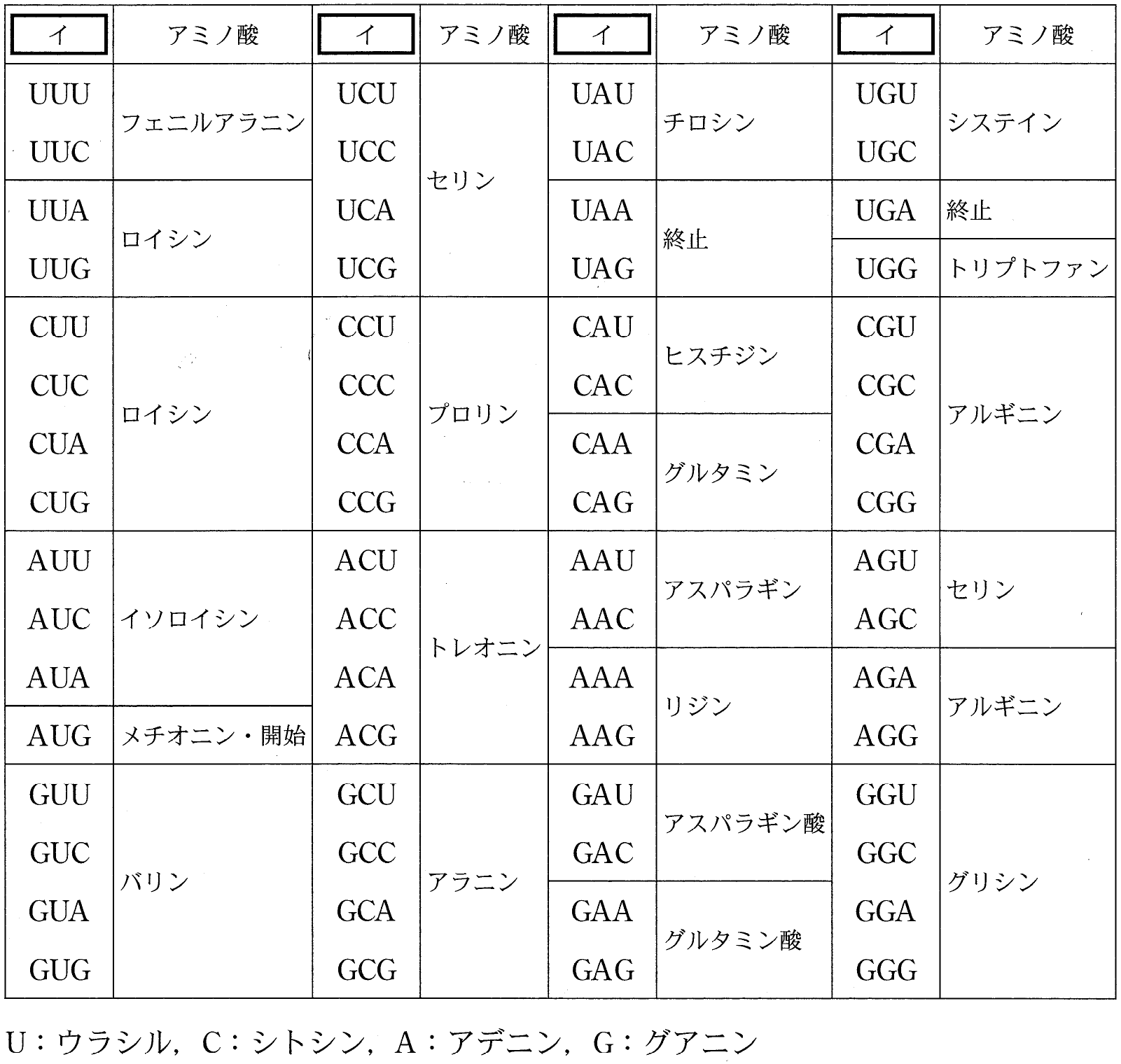 表1 RNA 遺伝暗号表