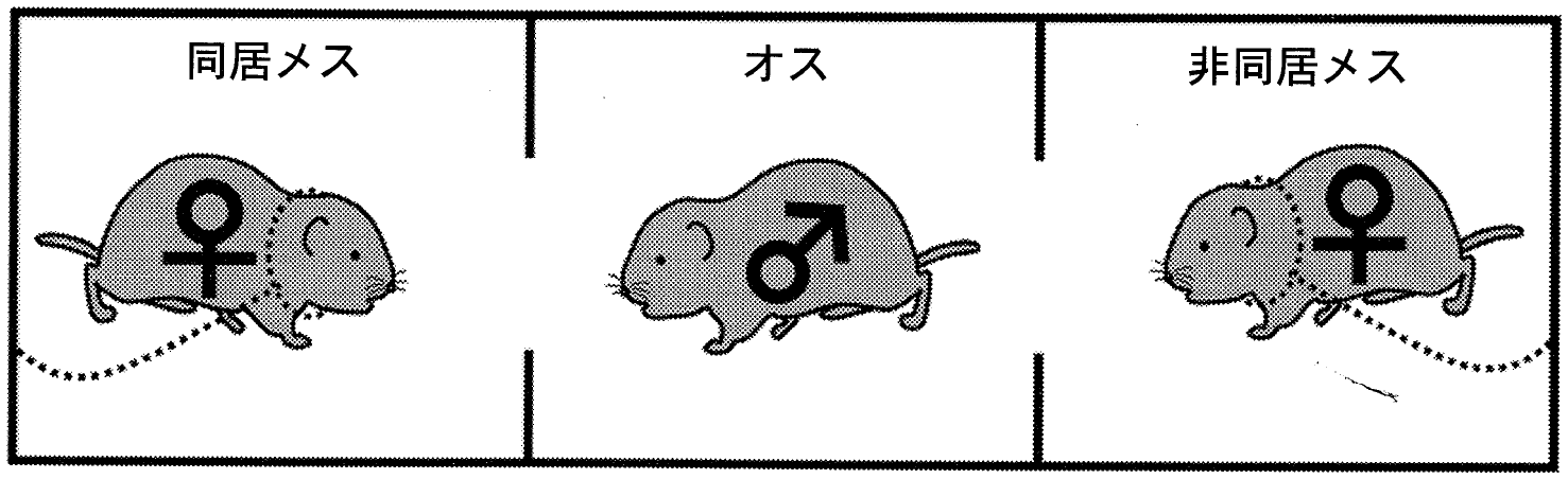 図1