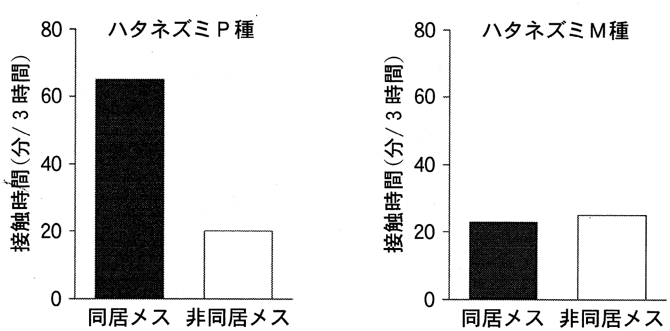図2