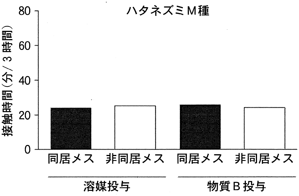 図5