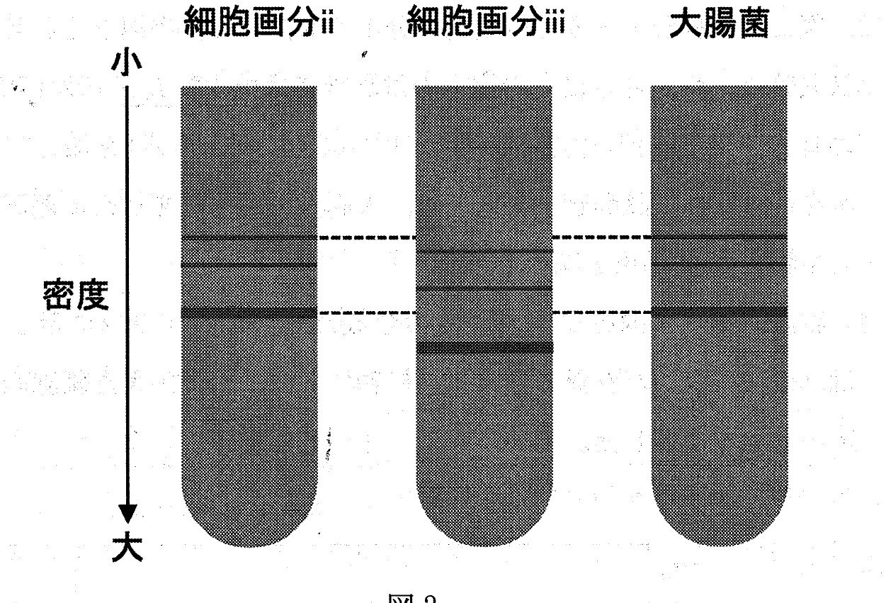 図2