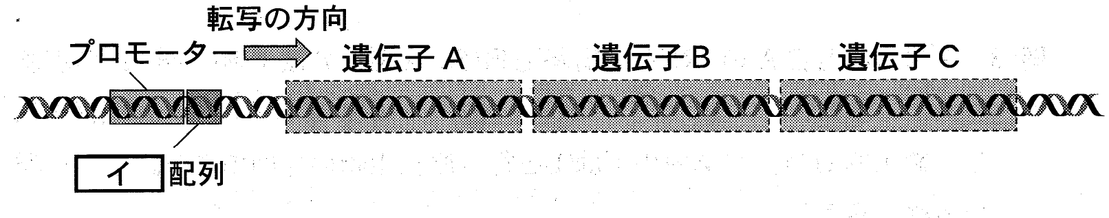 図1