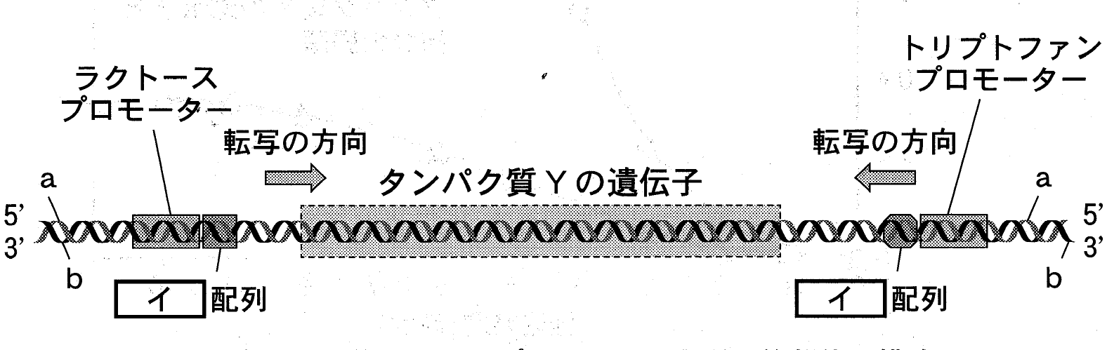 図3