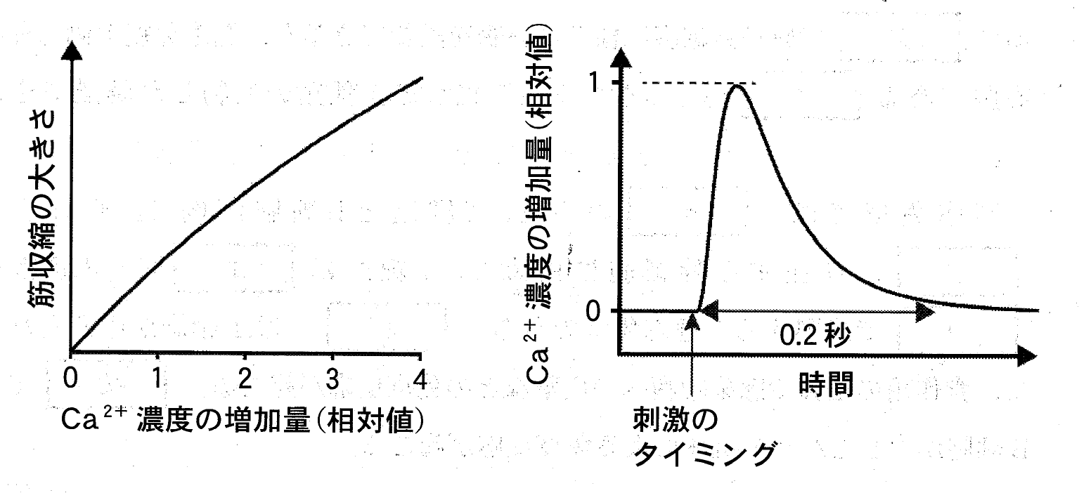 図2・3