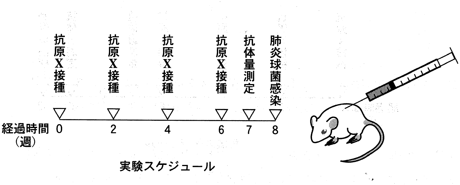 図1
