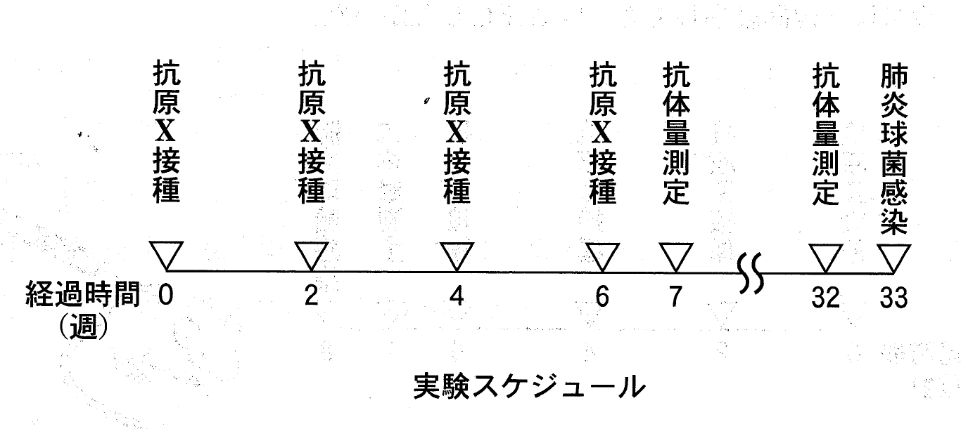 図2