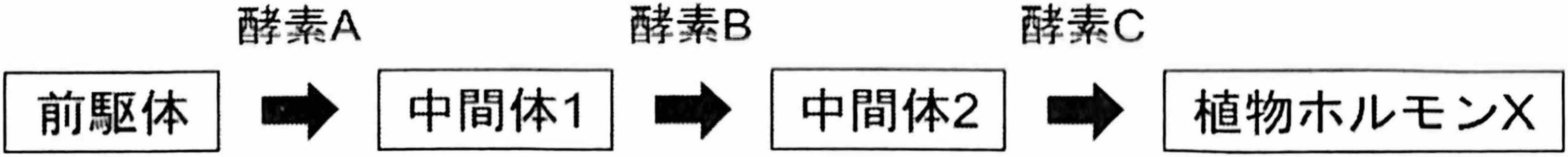 図2