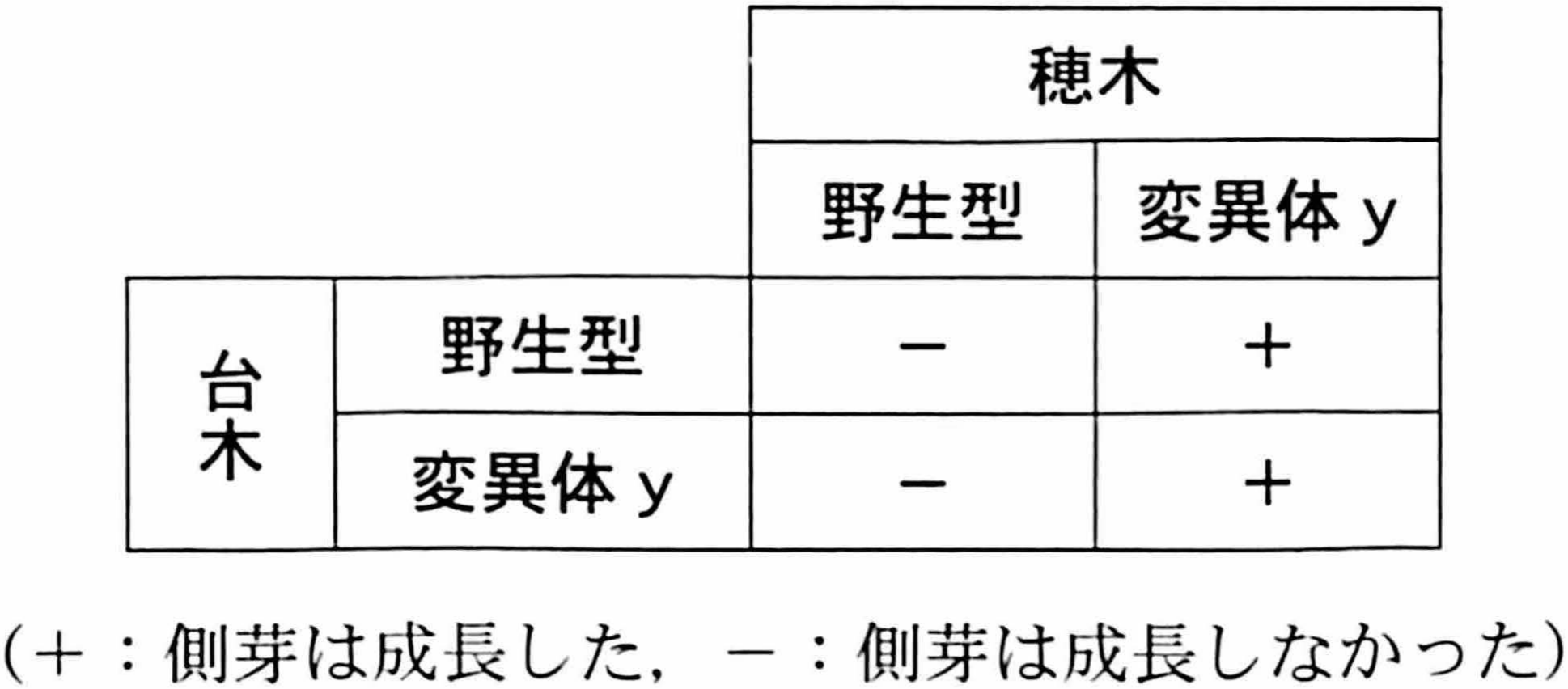 表1