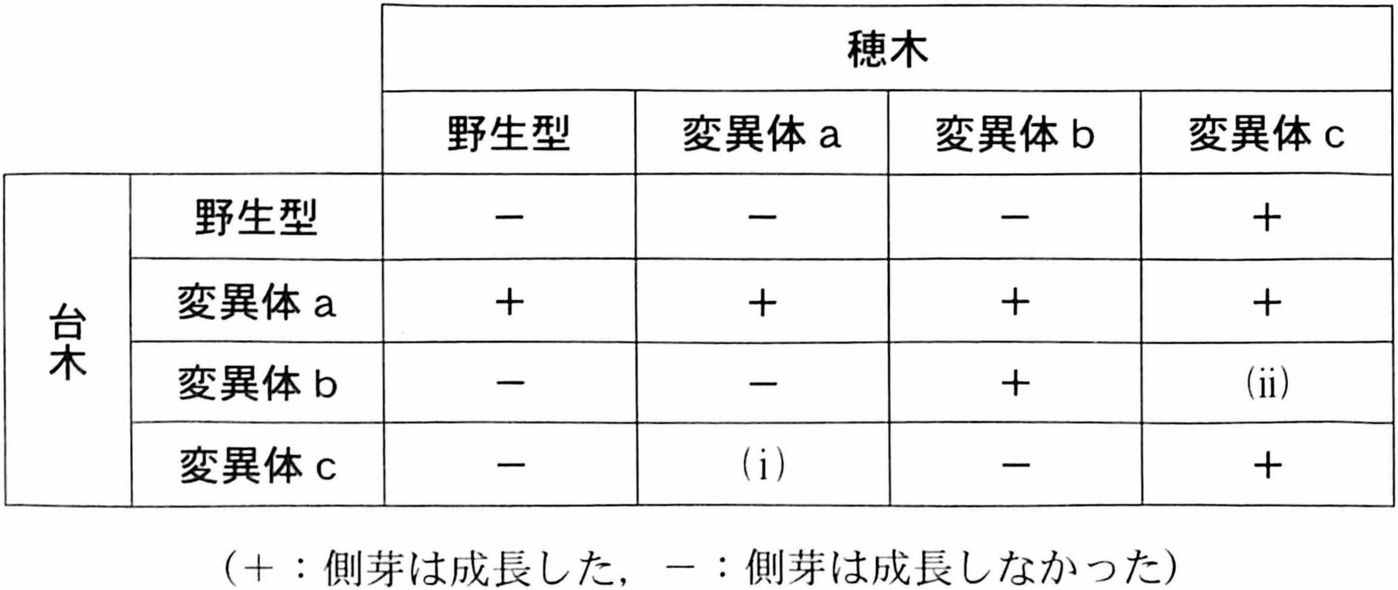 表2