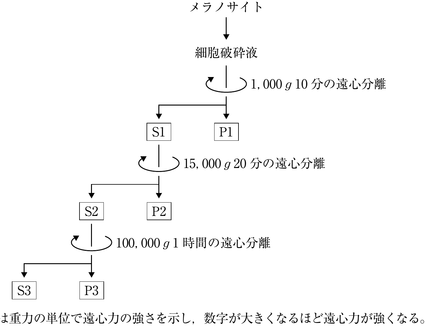 図1
