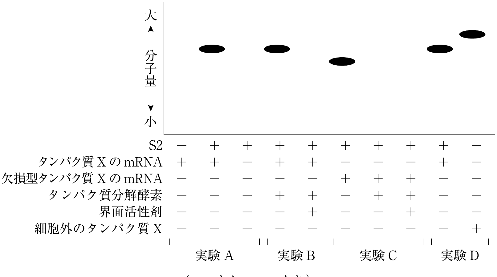 図2