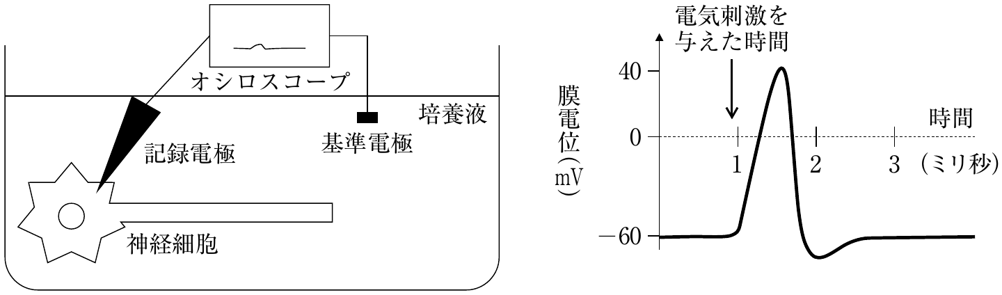 図1・図2