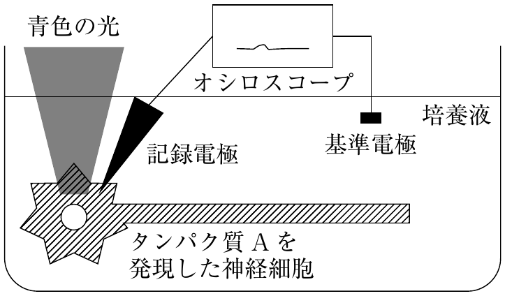 図3