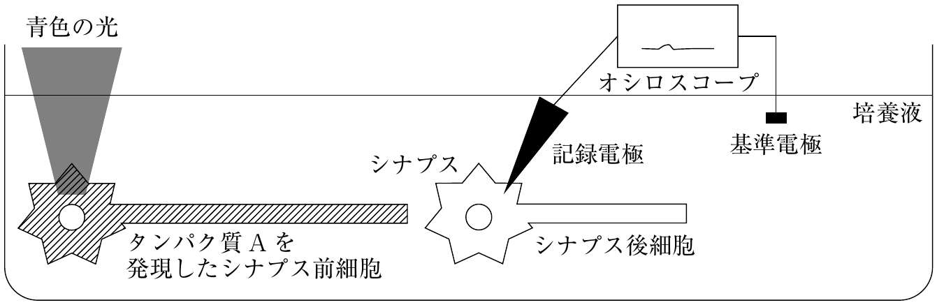 図4