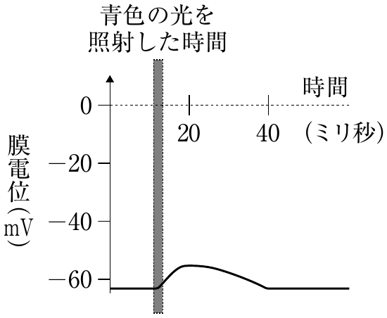 図5