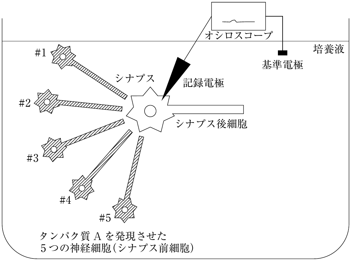 図6