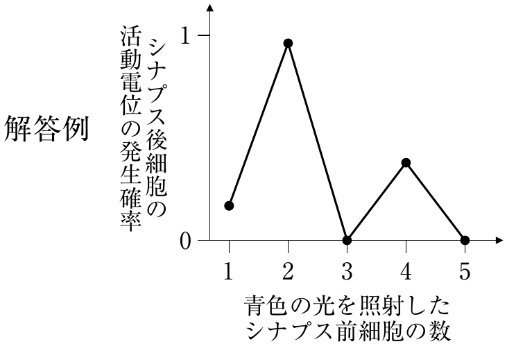 図7（解答例）